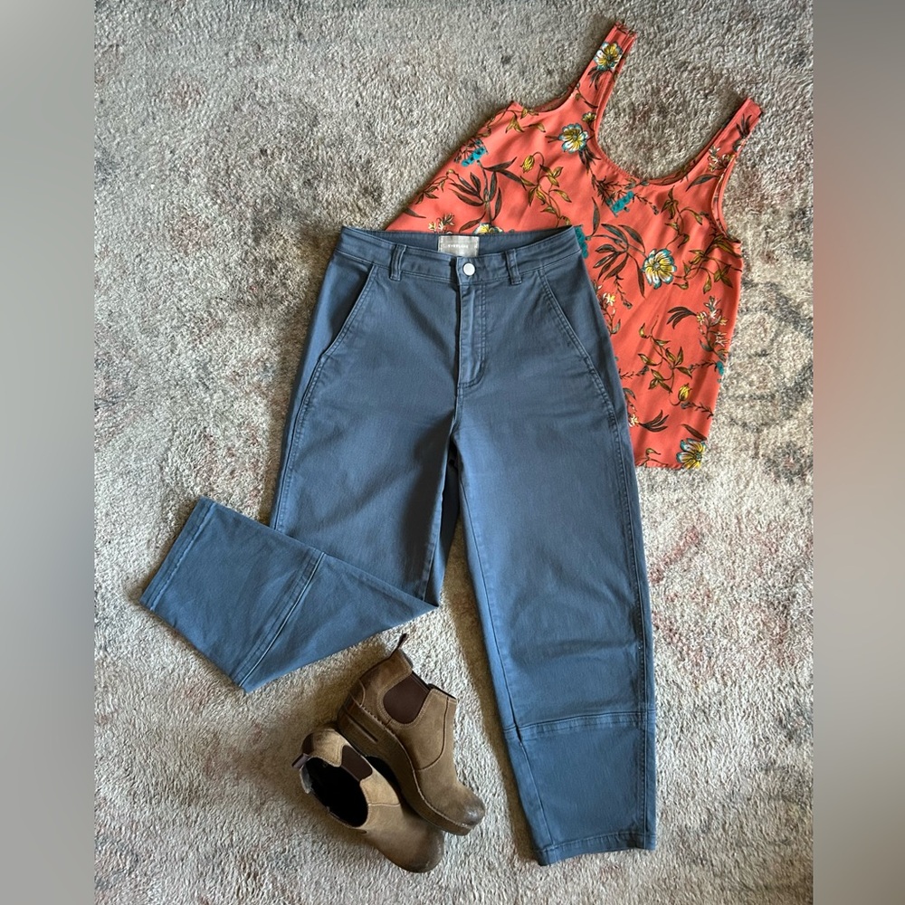 Everlane Utility Barrel Pants